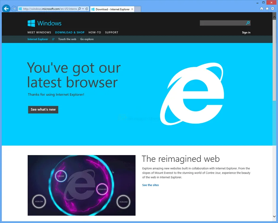 Internet Explorer 11 (Win7) Screenshot 1