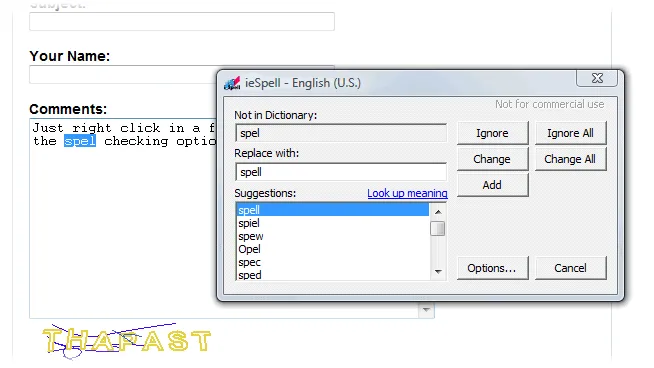 ieSpell Screenshot 2