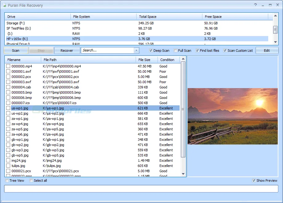 Puran File Recovery Screenshot 1