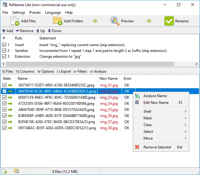 ReNamer Lite Screenshot 1